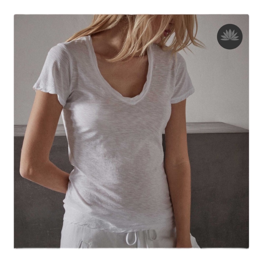James Perse Sheer Slub V-Neck